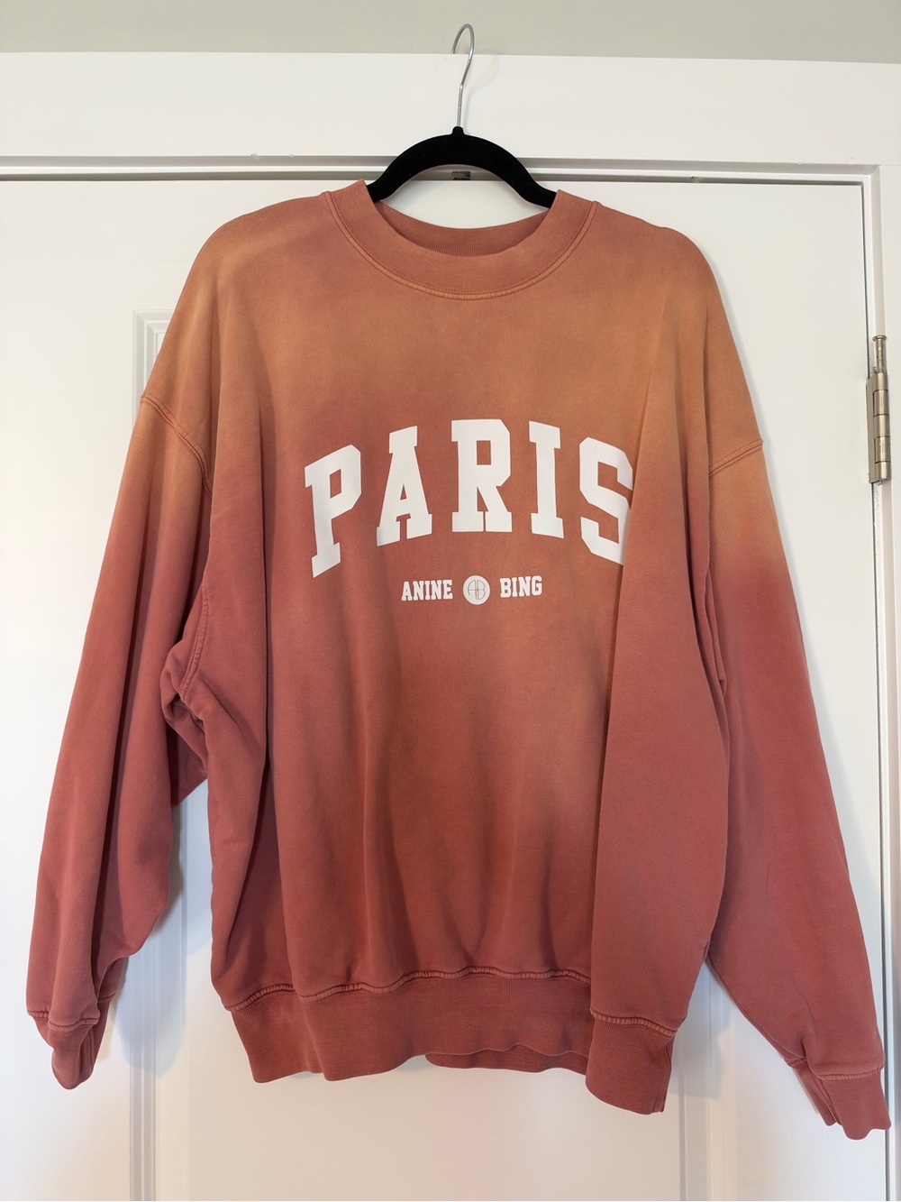 Anine Bing Gradient Rust Paris Crewneck Sweatshirt